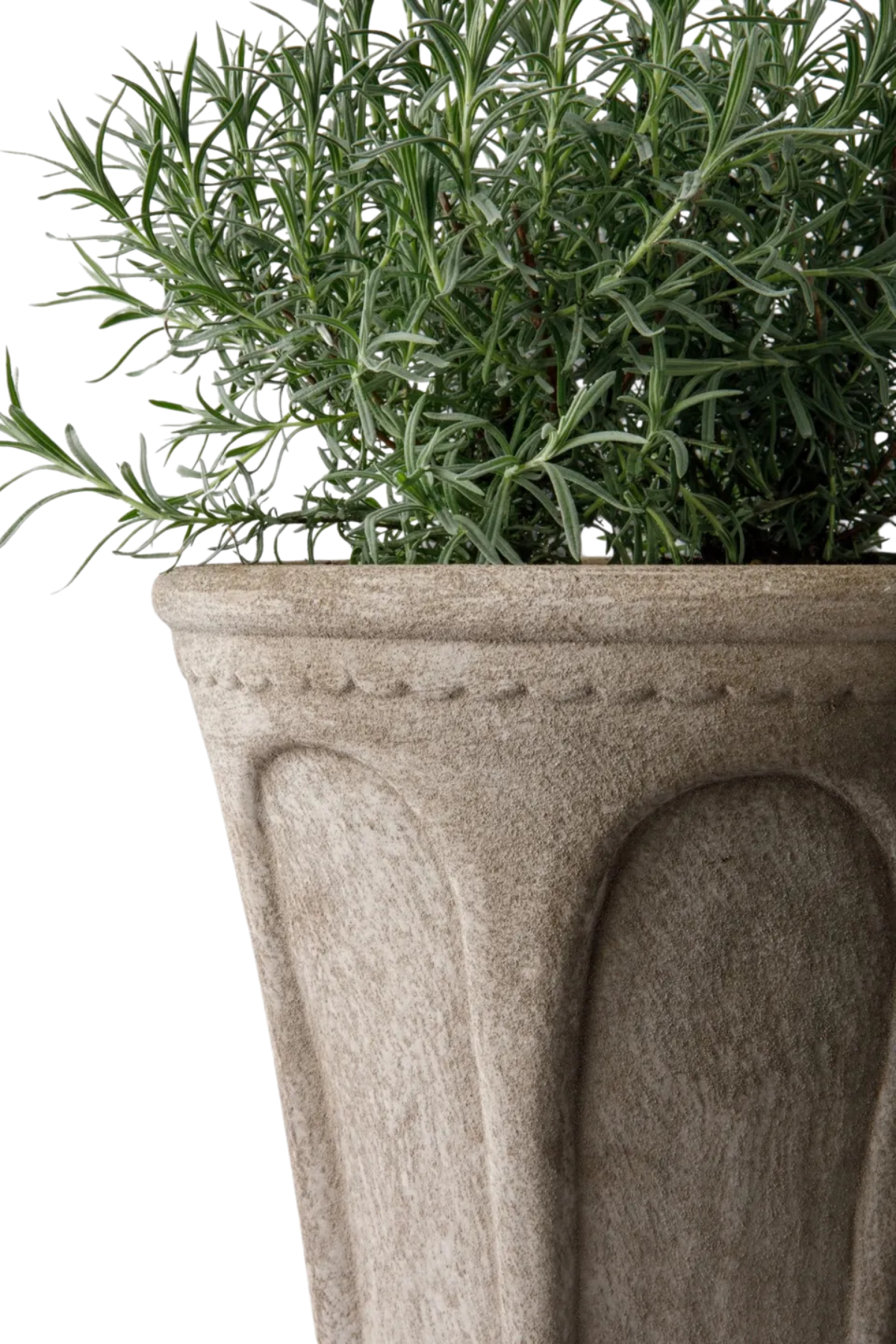 Terra Arc Planter Medium