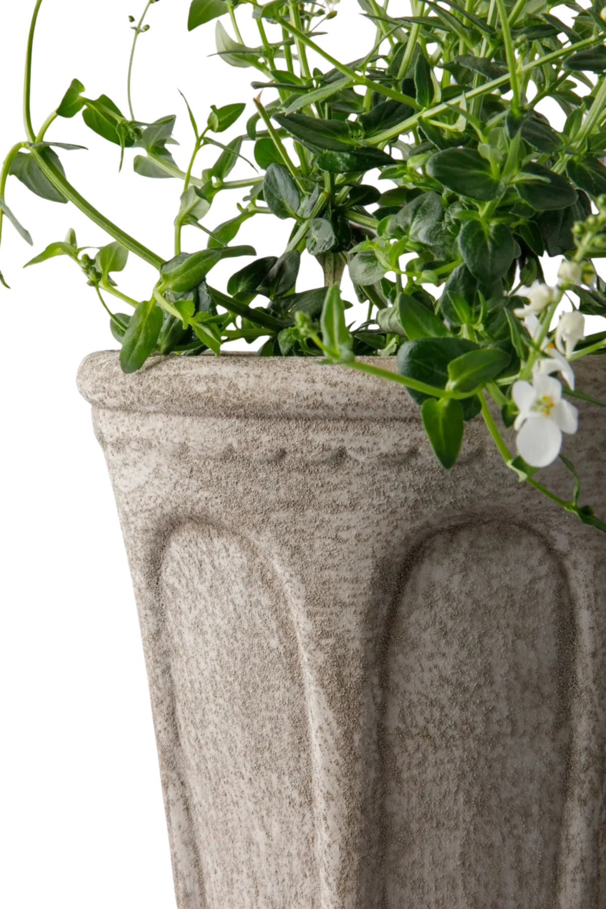Terra Arc Planter Small
