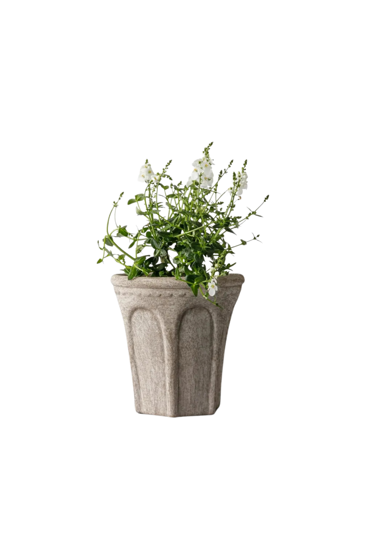 Terra Arc Planter Small