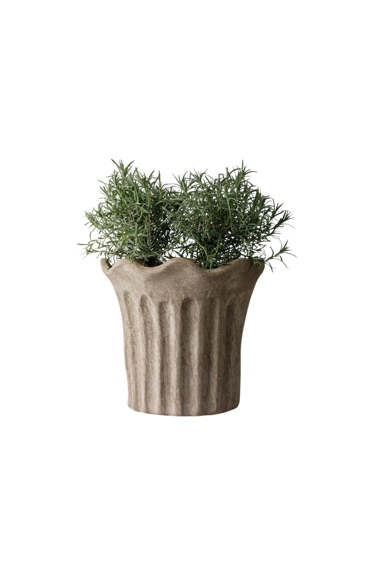 Terra Fluted Planter Large