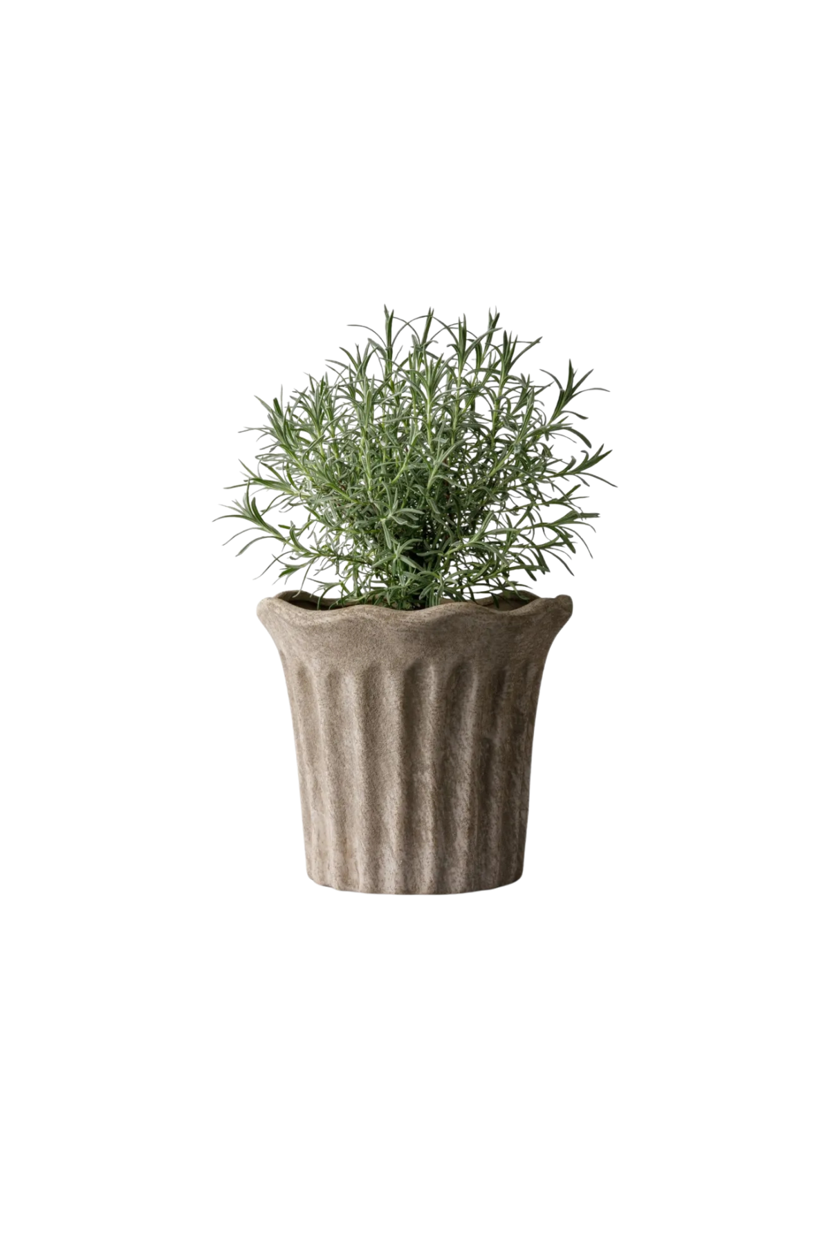Terra Fluted Planter Medium
