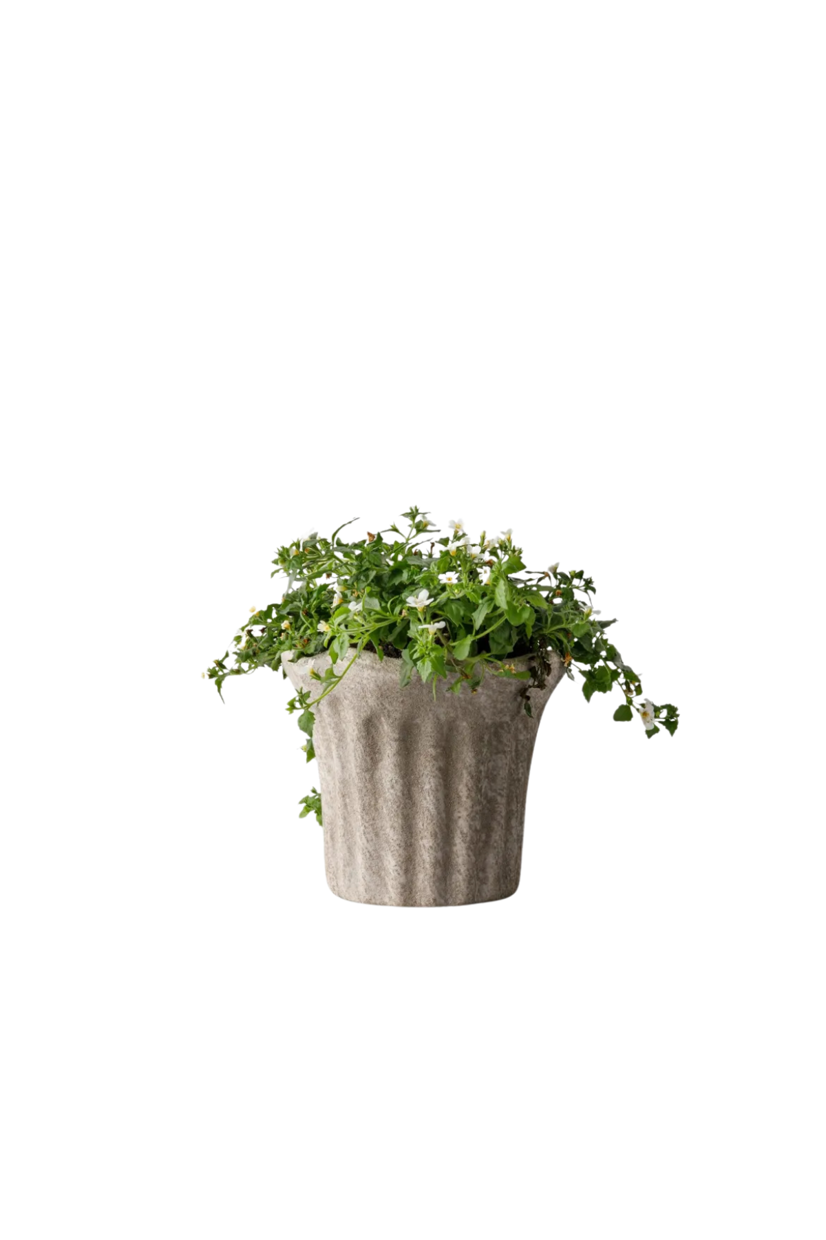 Terra Fluted Planter Small