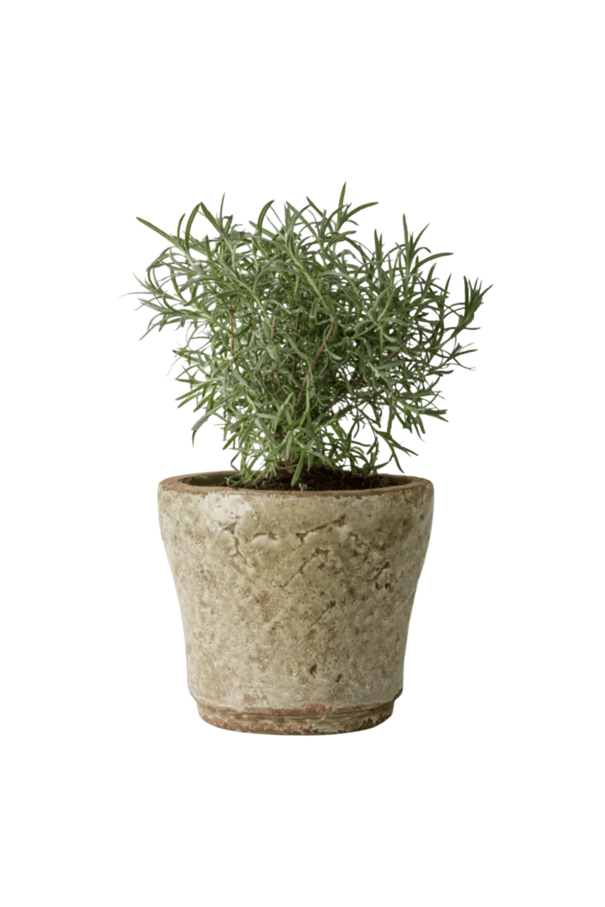 Celadon Herb Planter
