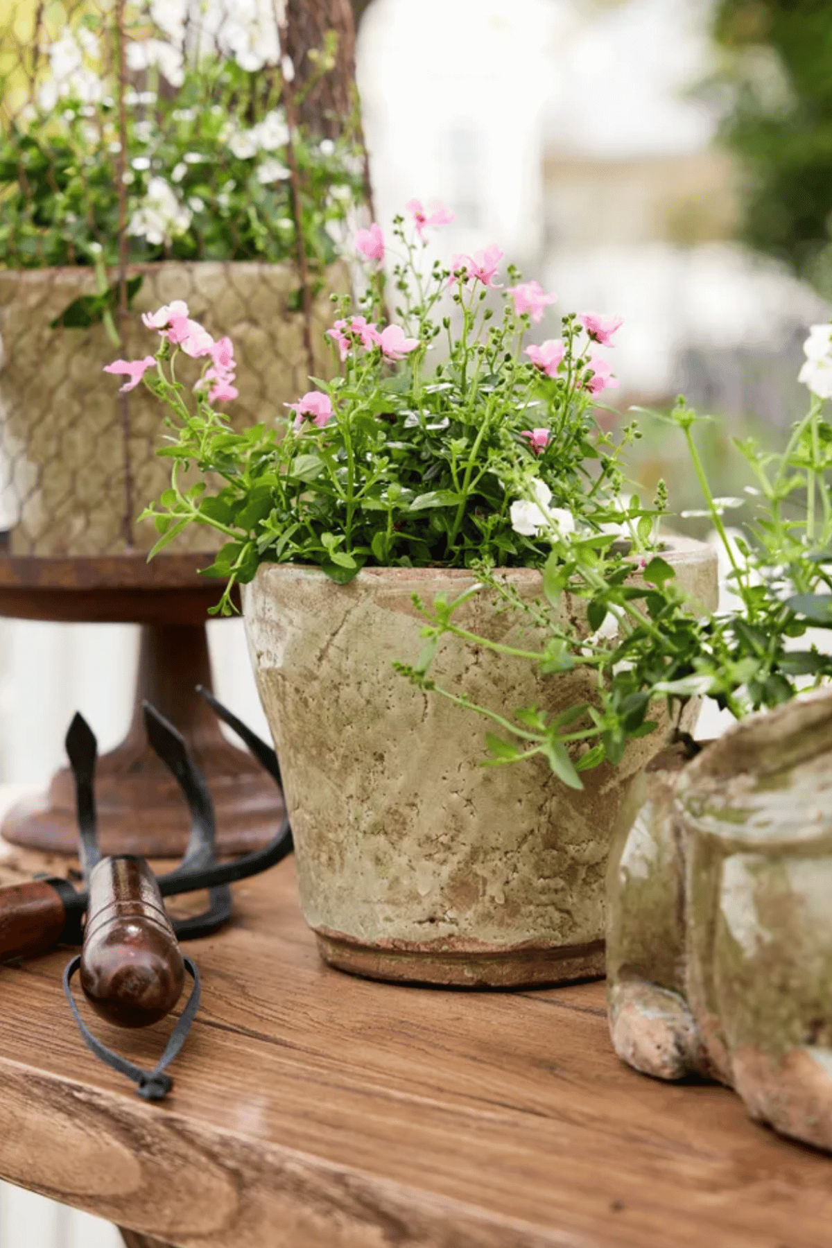 Celadon Herb Planter