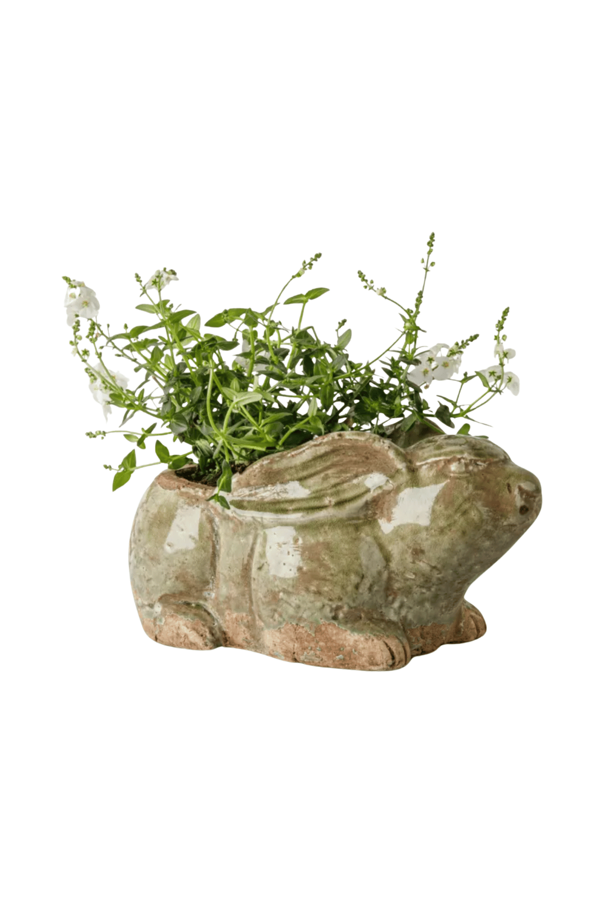 Celadon Rabbit Planter