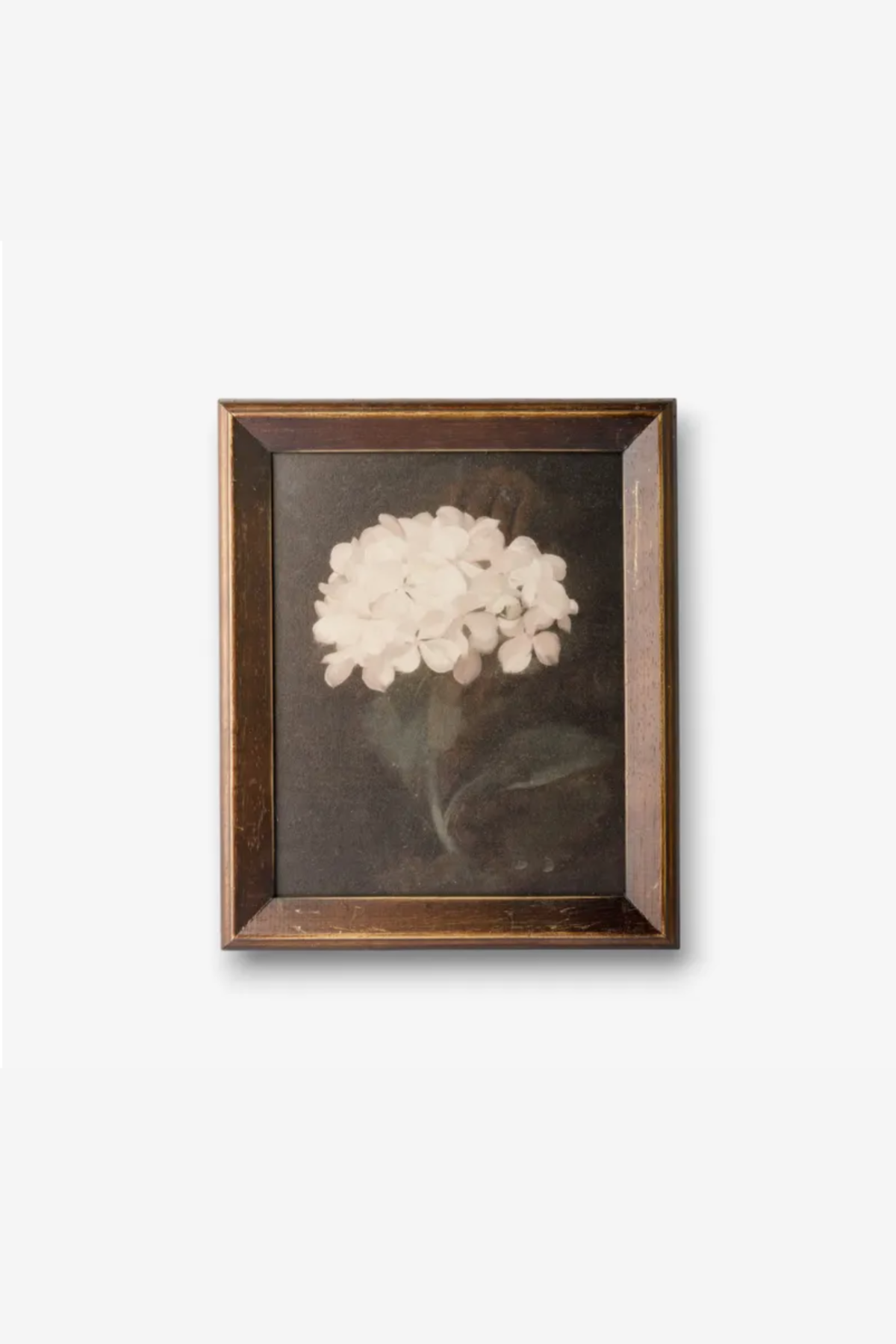 Hydrangea Wall Art