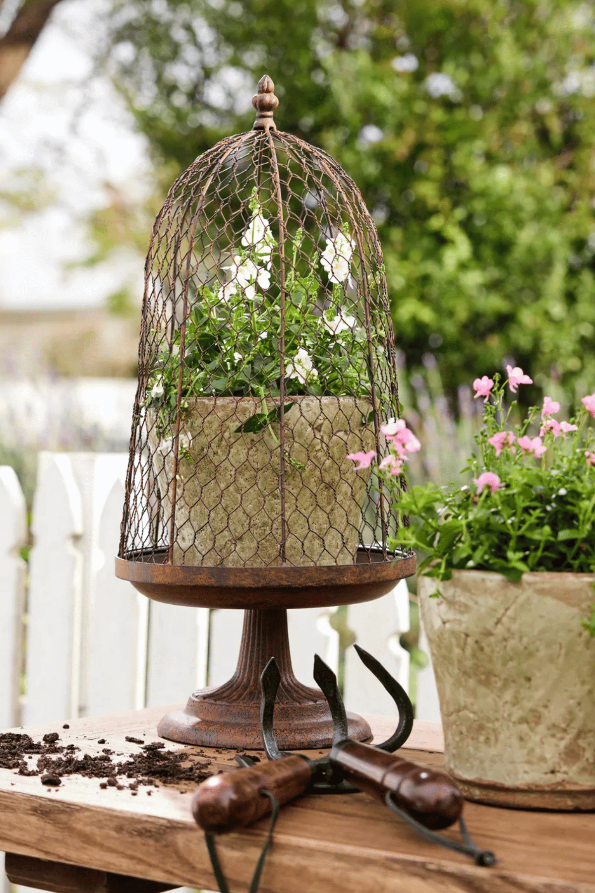 Maison Garden Cloche
