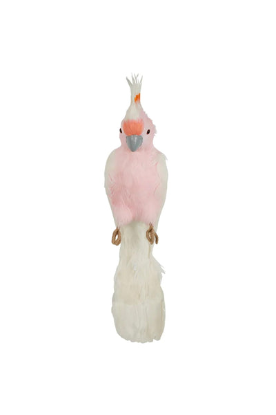 Galah Perched Bird Large Pink