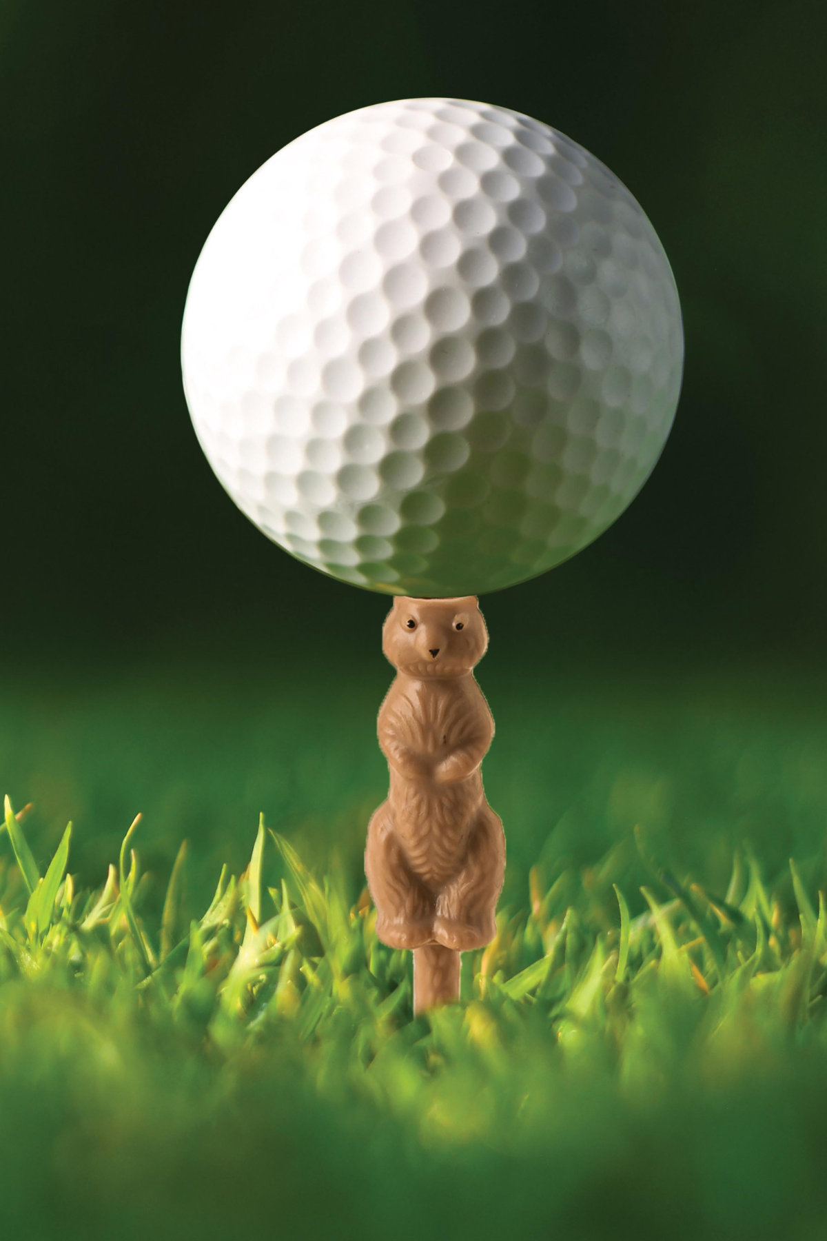 Gopher the Caddy Golf Tee