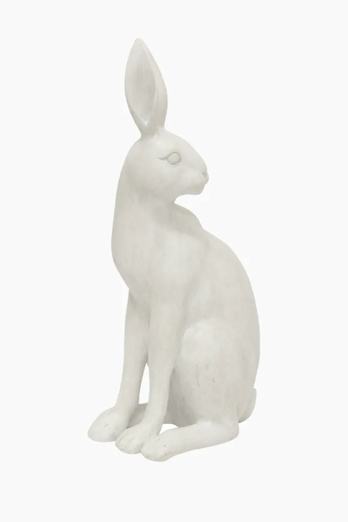 Harold the Hare Turning White