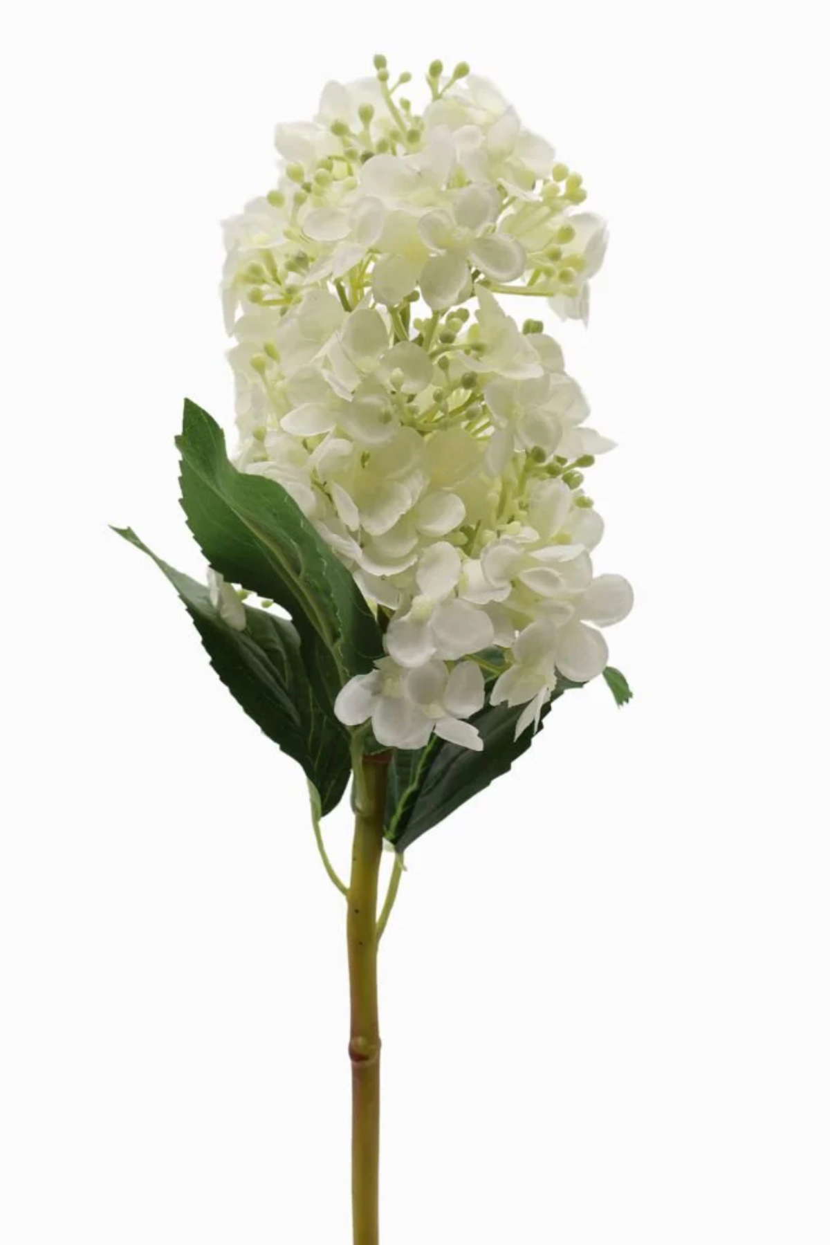 Hydrangea Cone Stem Ivory 52cm