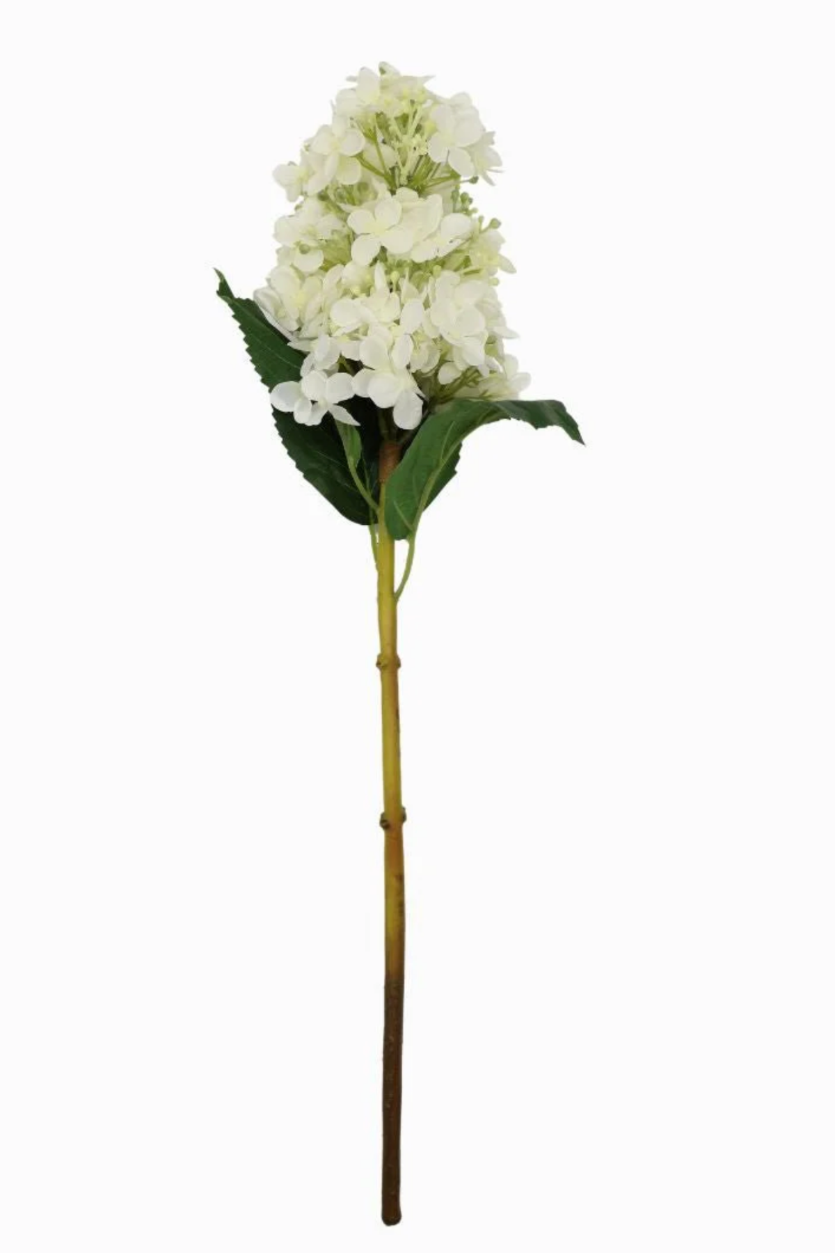 Hydrangea Cone Stem Ivory 52cm