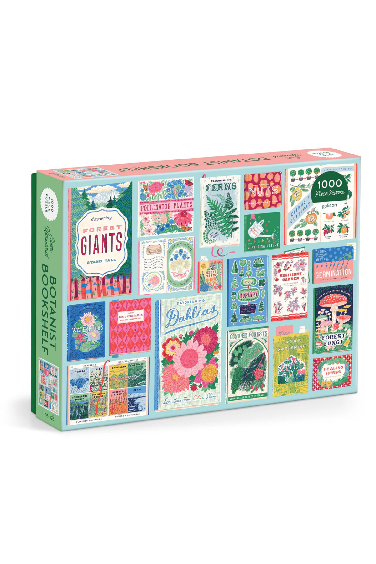 Ever Upward Botanist Bookshelf Puzzle 1000pc
