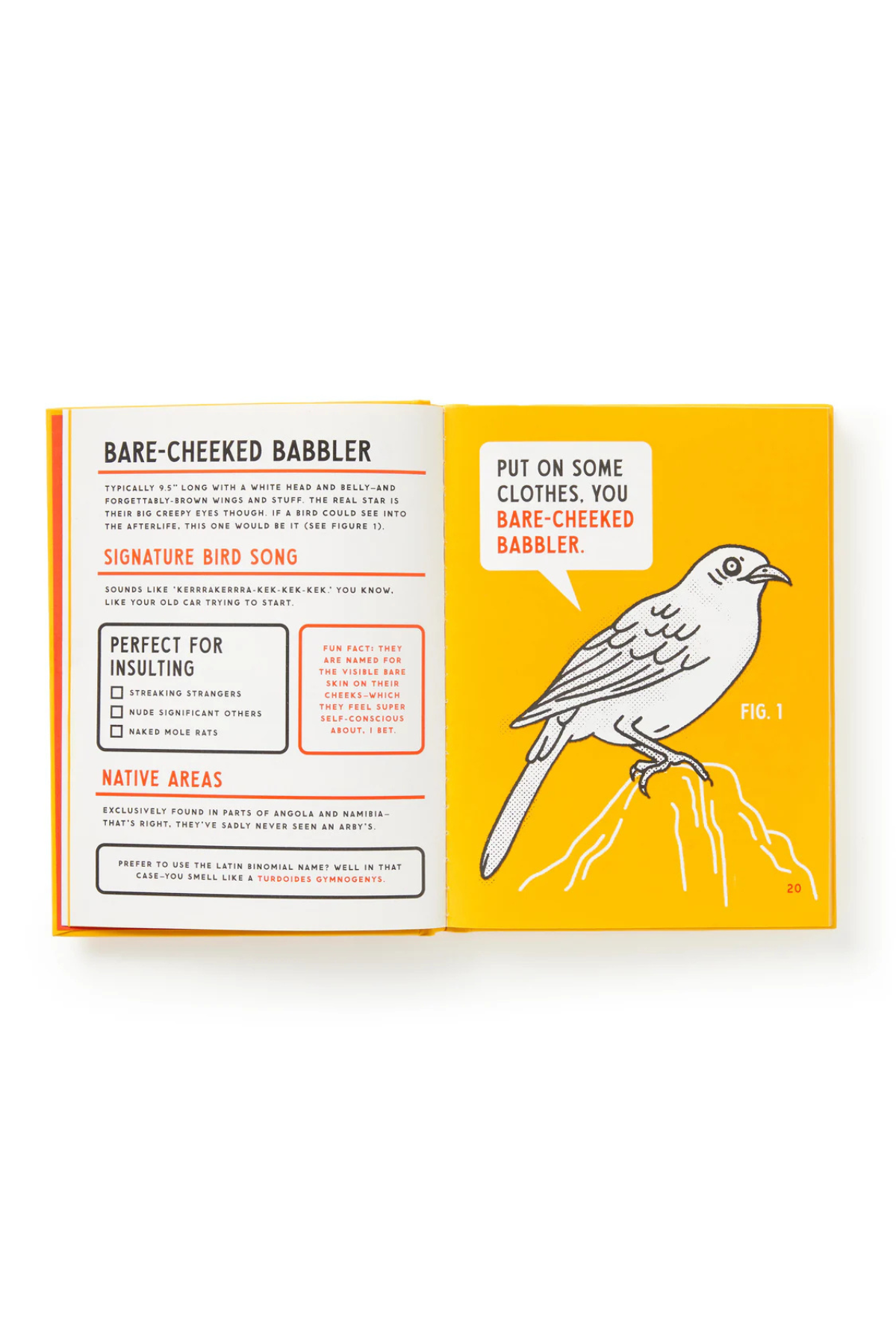 Birds That Sound Like Insults Book