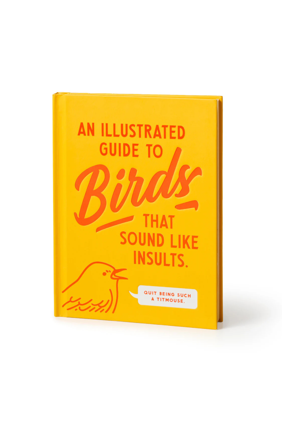 Birds That Sound Like Insults Book