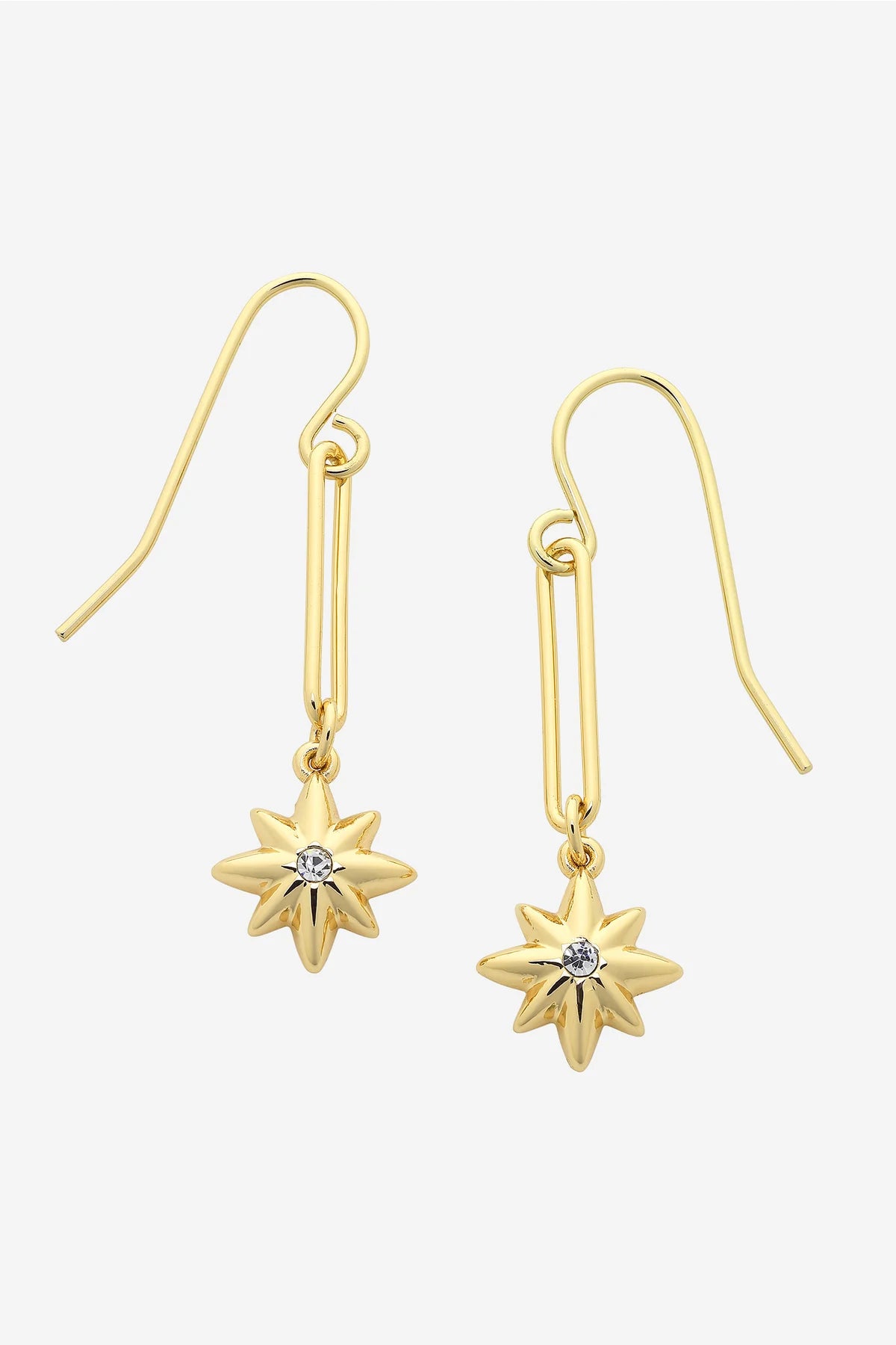 Issy Gold Earring