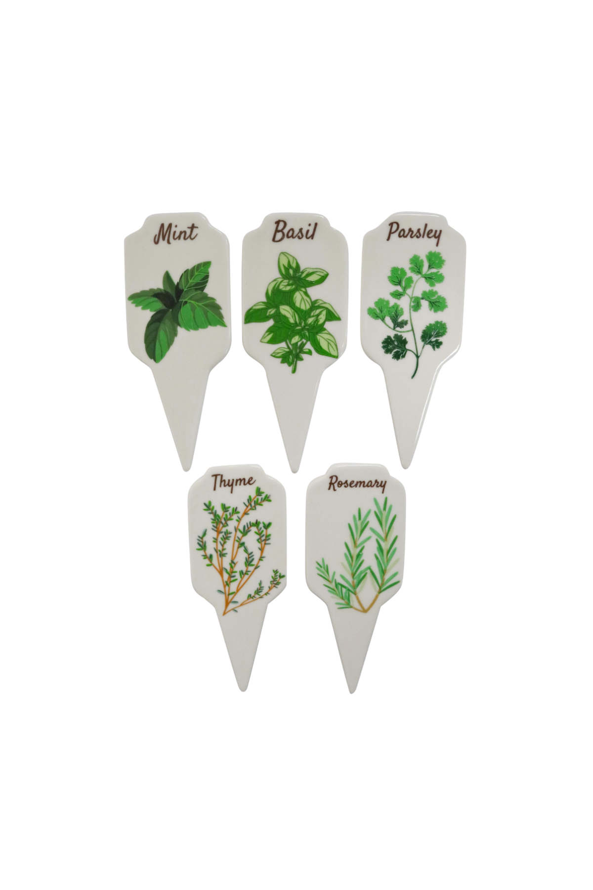 Basil Garden Stakes