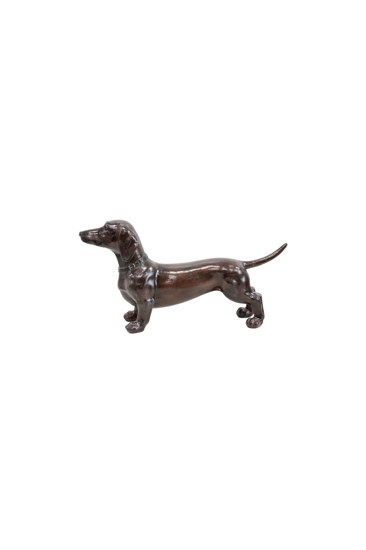 Dachshund Bronze