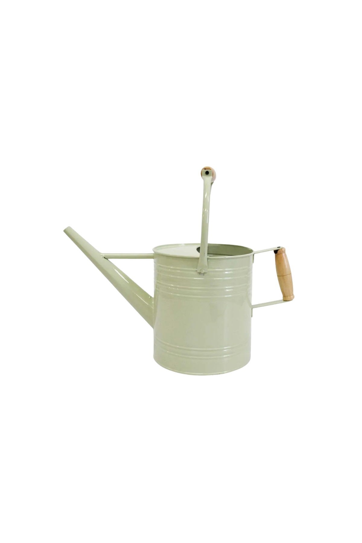 Watering Can Sage
