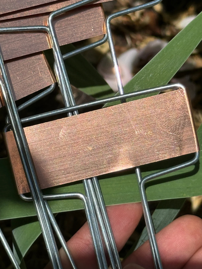 Copper Plant Labels 5pk