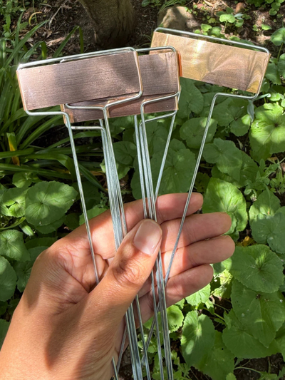 Copper Plant Labels 5pk