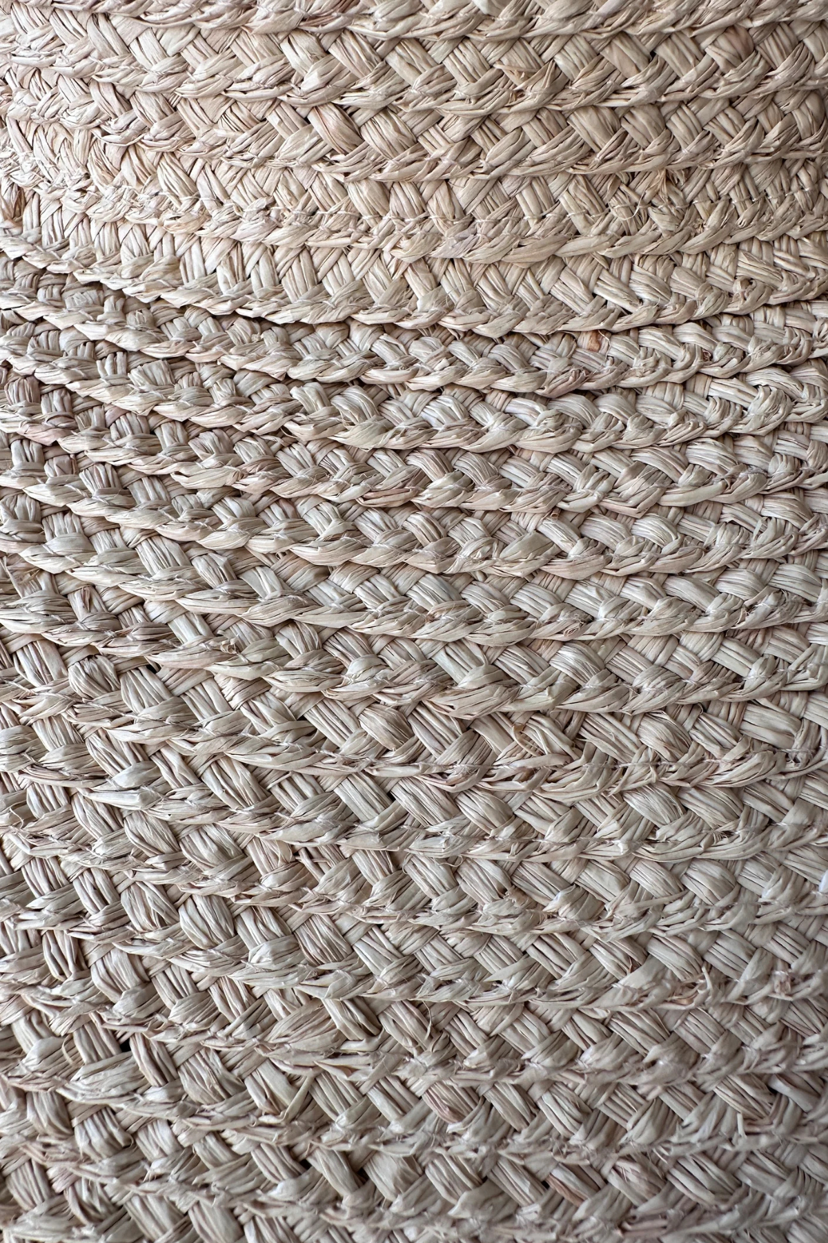 Jardin Raffia Hat