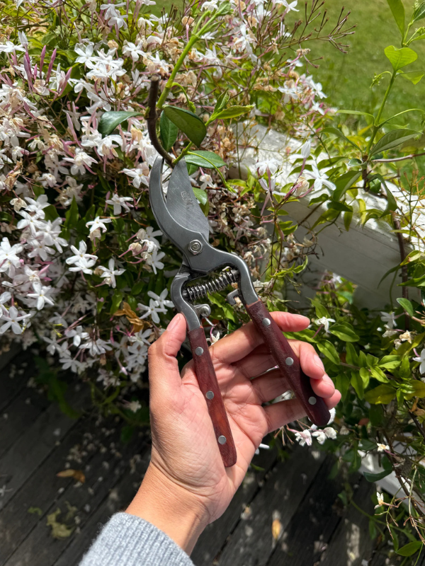 Premium Wooden Secateurs