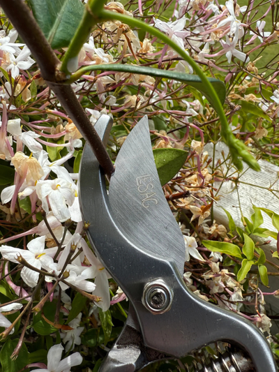 Premium Wooden Secateurs