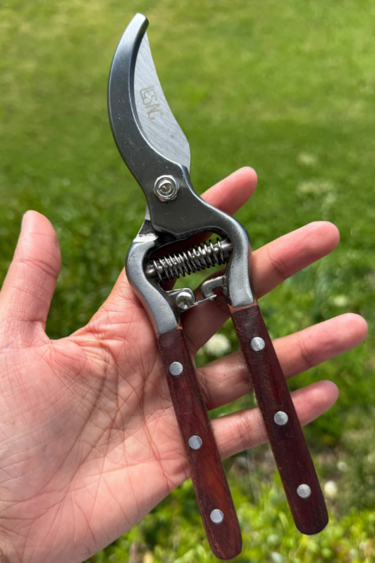 Premium Wooden Secateurs