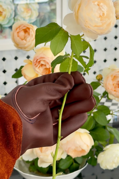 Thorn Proof Gardening Gloves