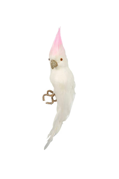 Pinky Cockatoo