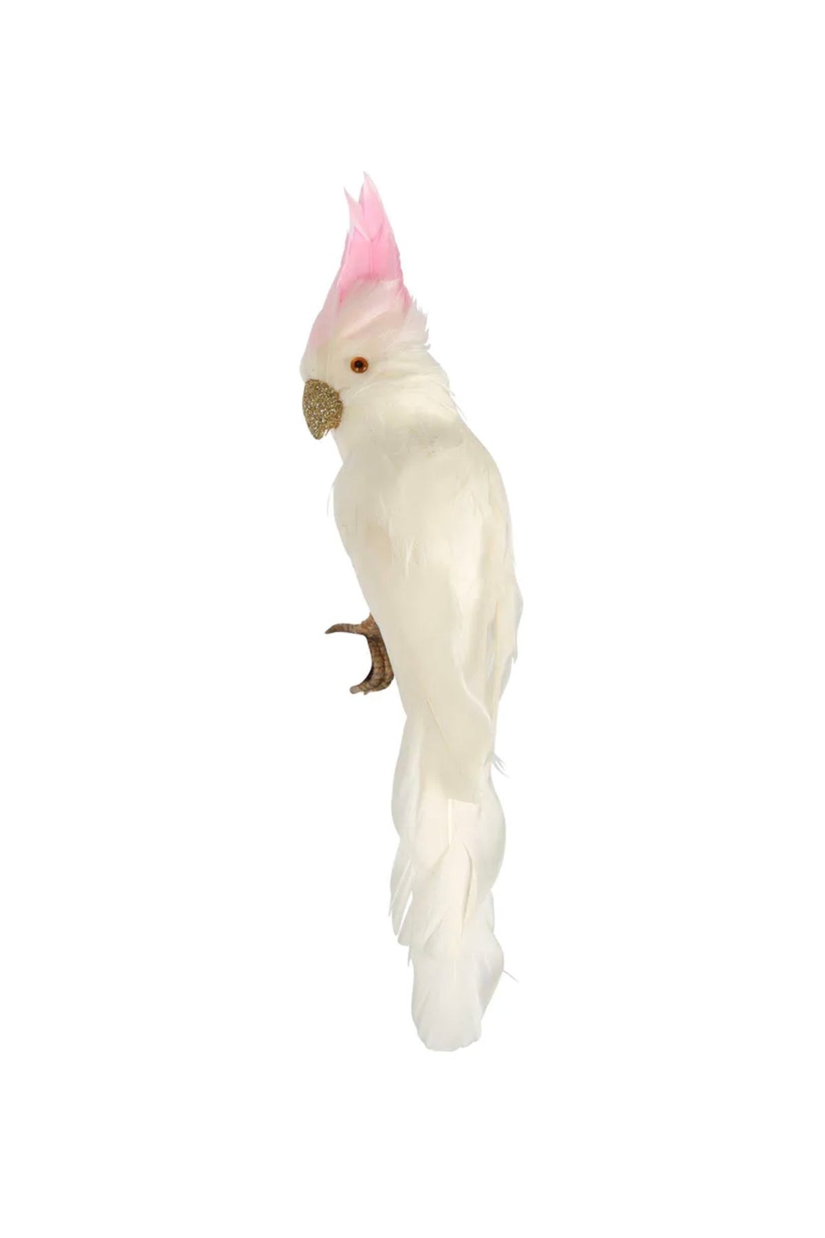 Pinky Cockatoo