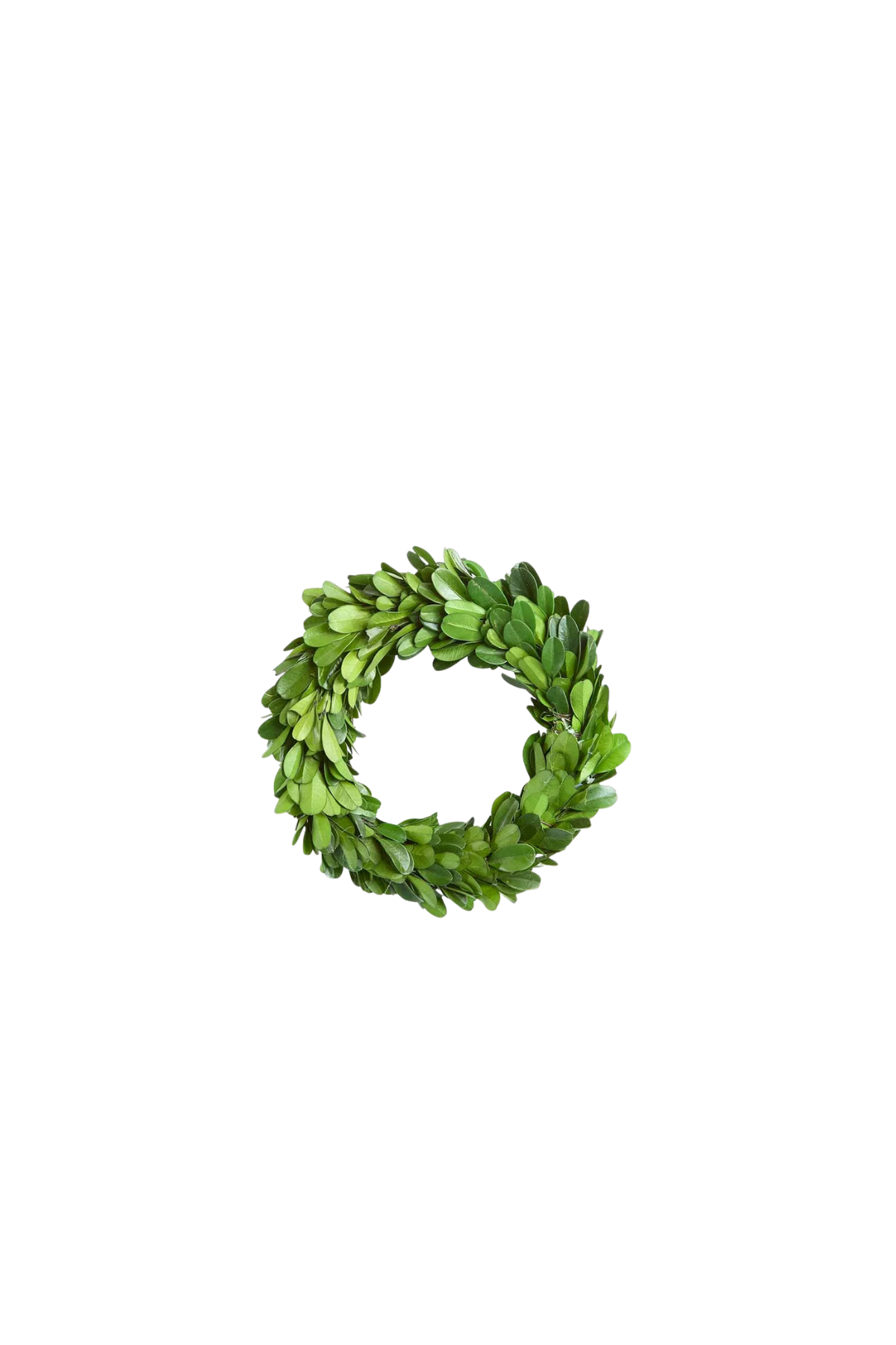Preserved Boxwood Mini Wreath