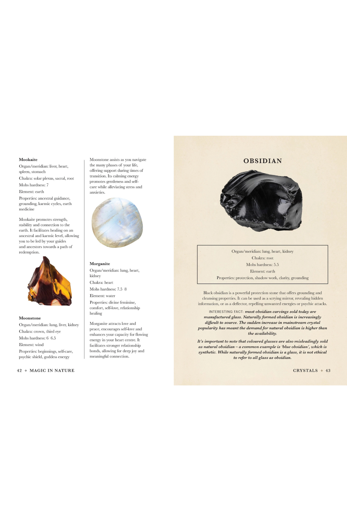 Practical Guide To Magic In Nature