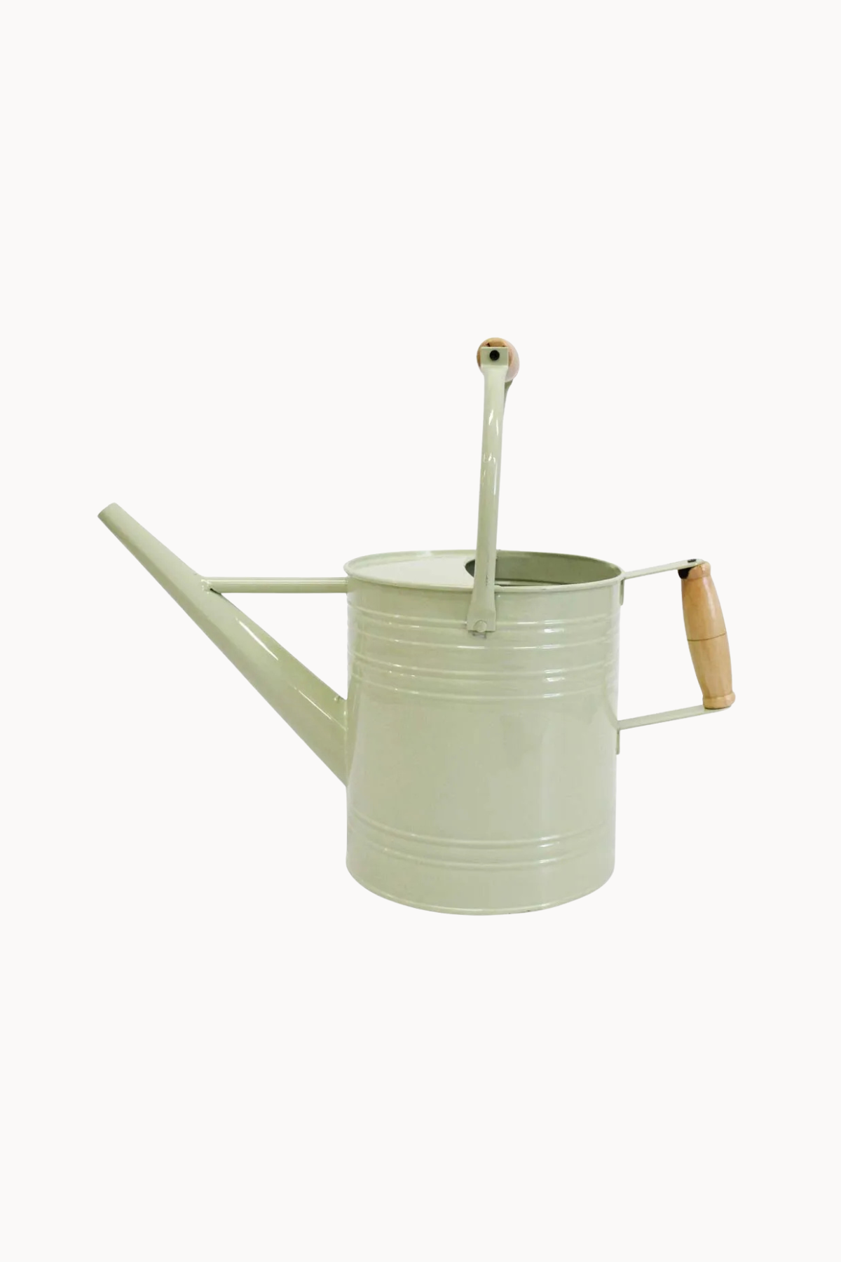 Watering Can Sage