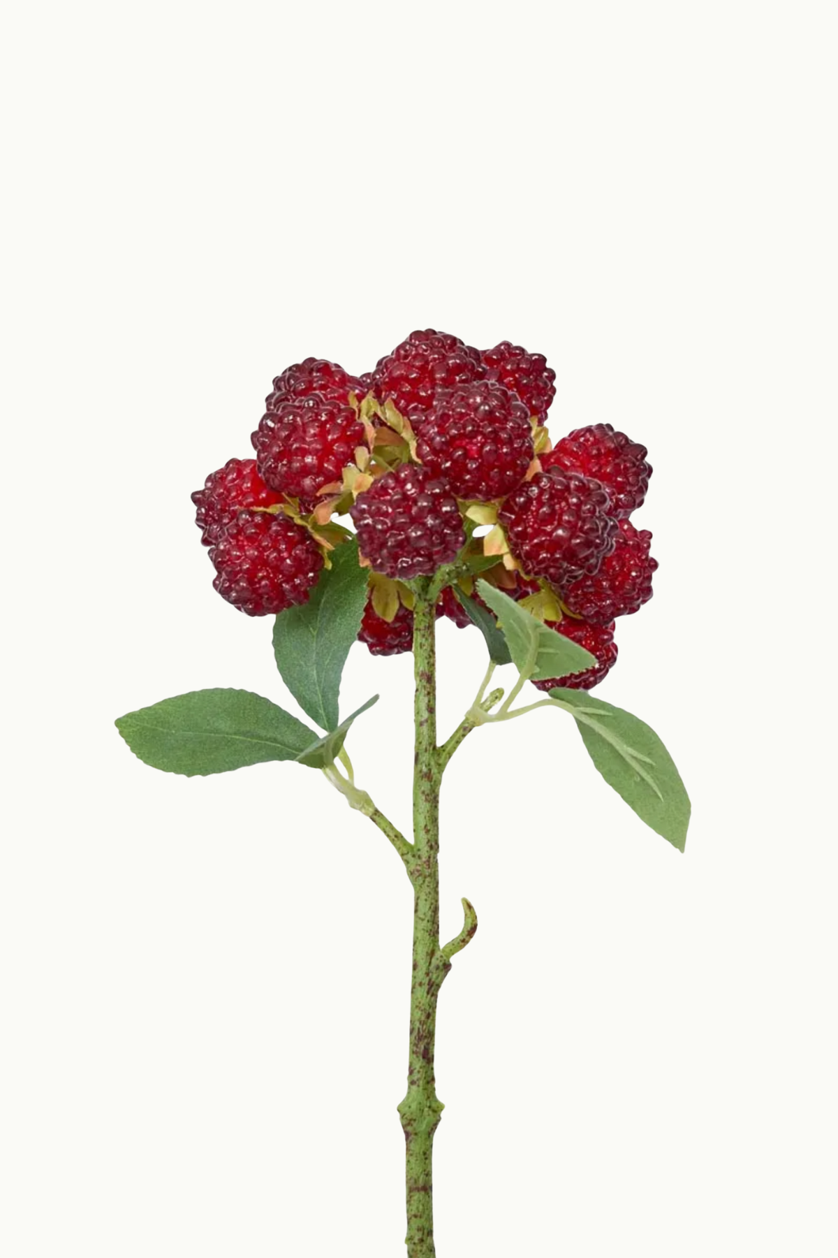 Sugared Raspberry Spray