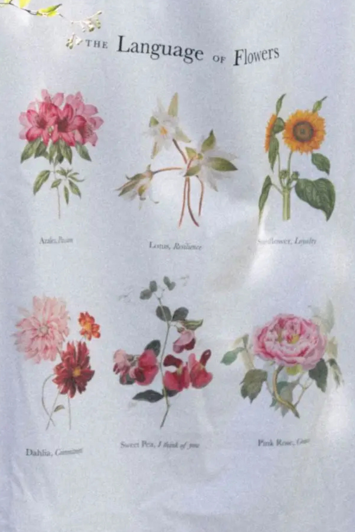 The Language of Flowers Tee