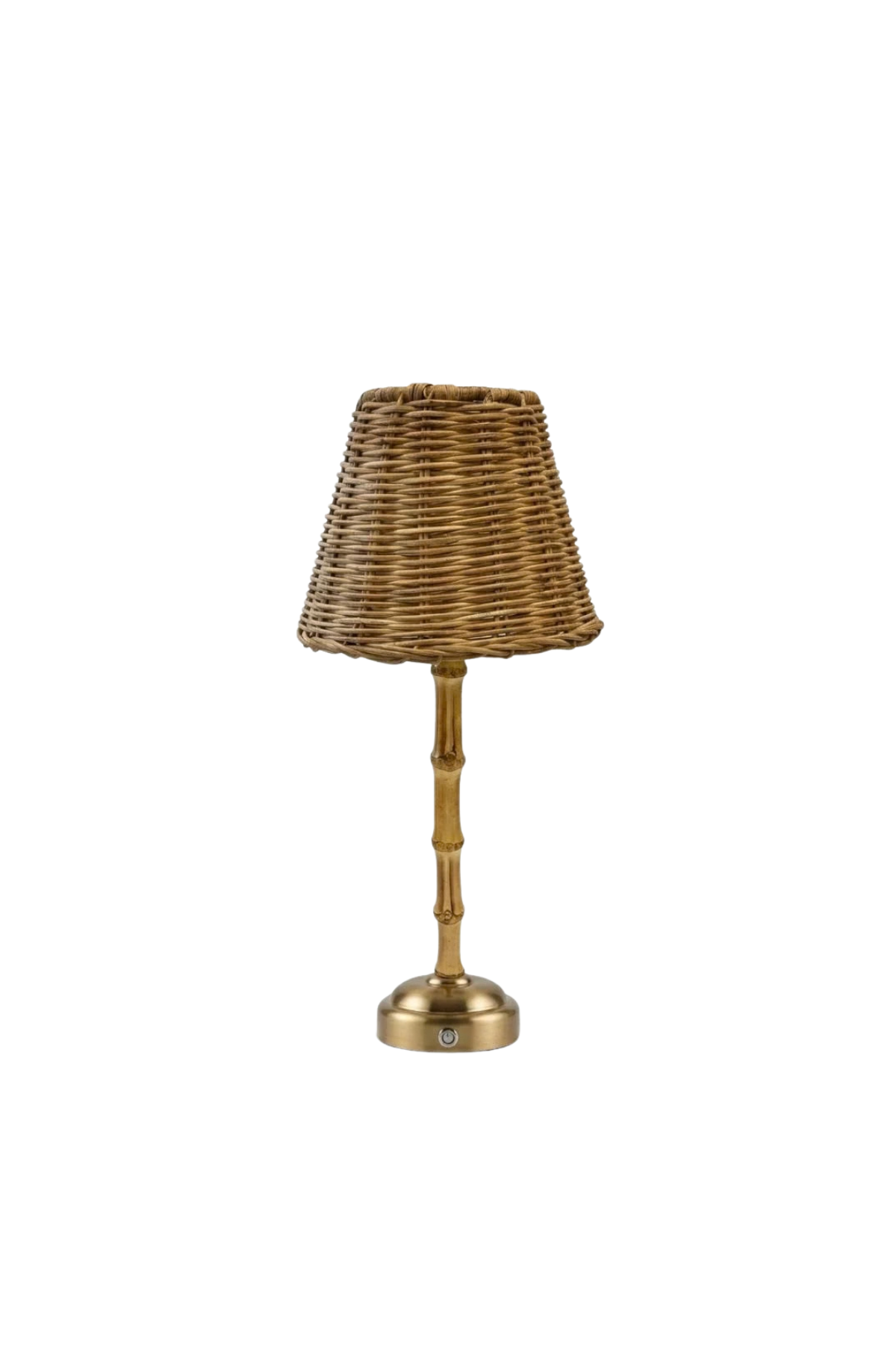 Palmier Lamp Rechargeable