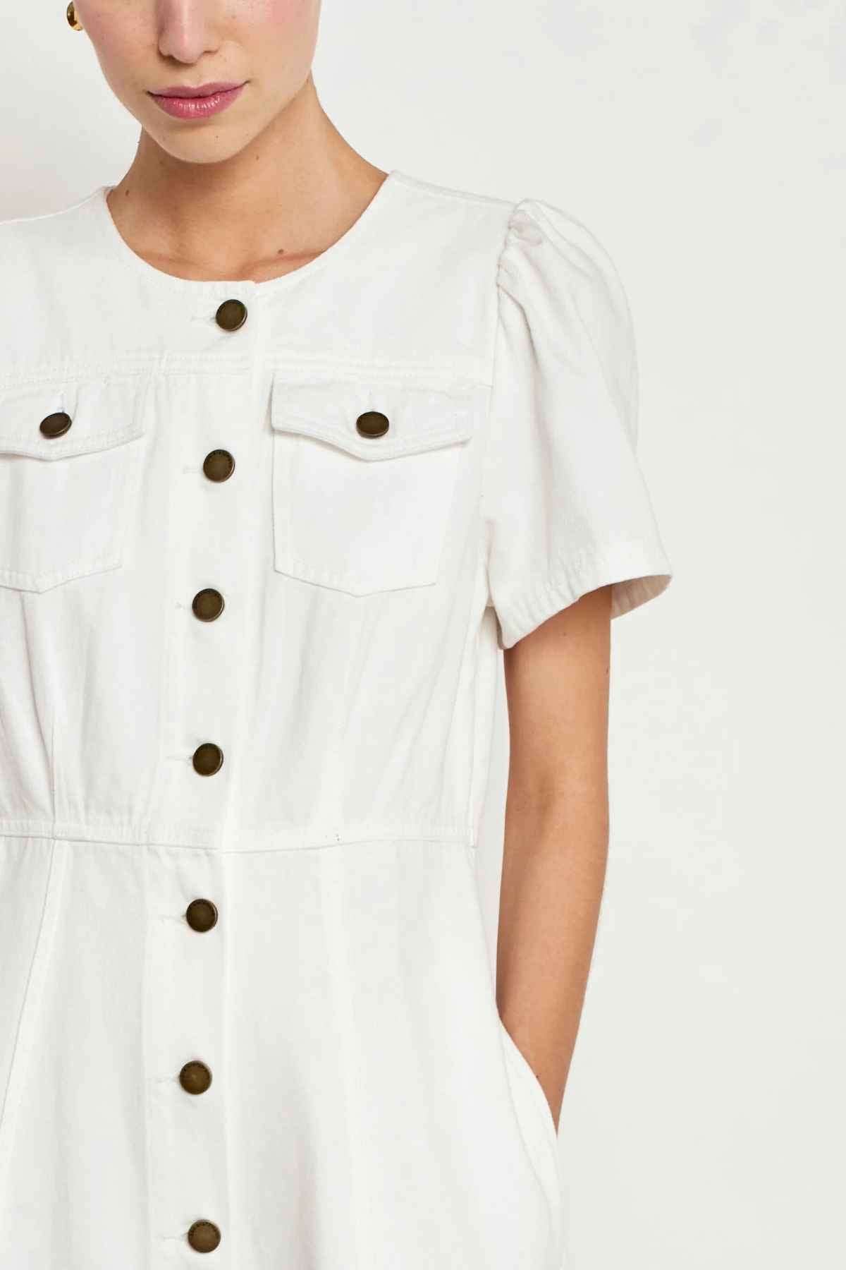 Allude Dress Elm