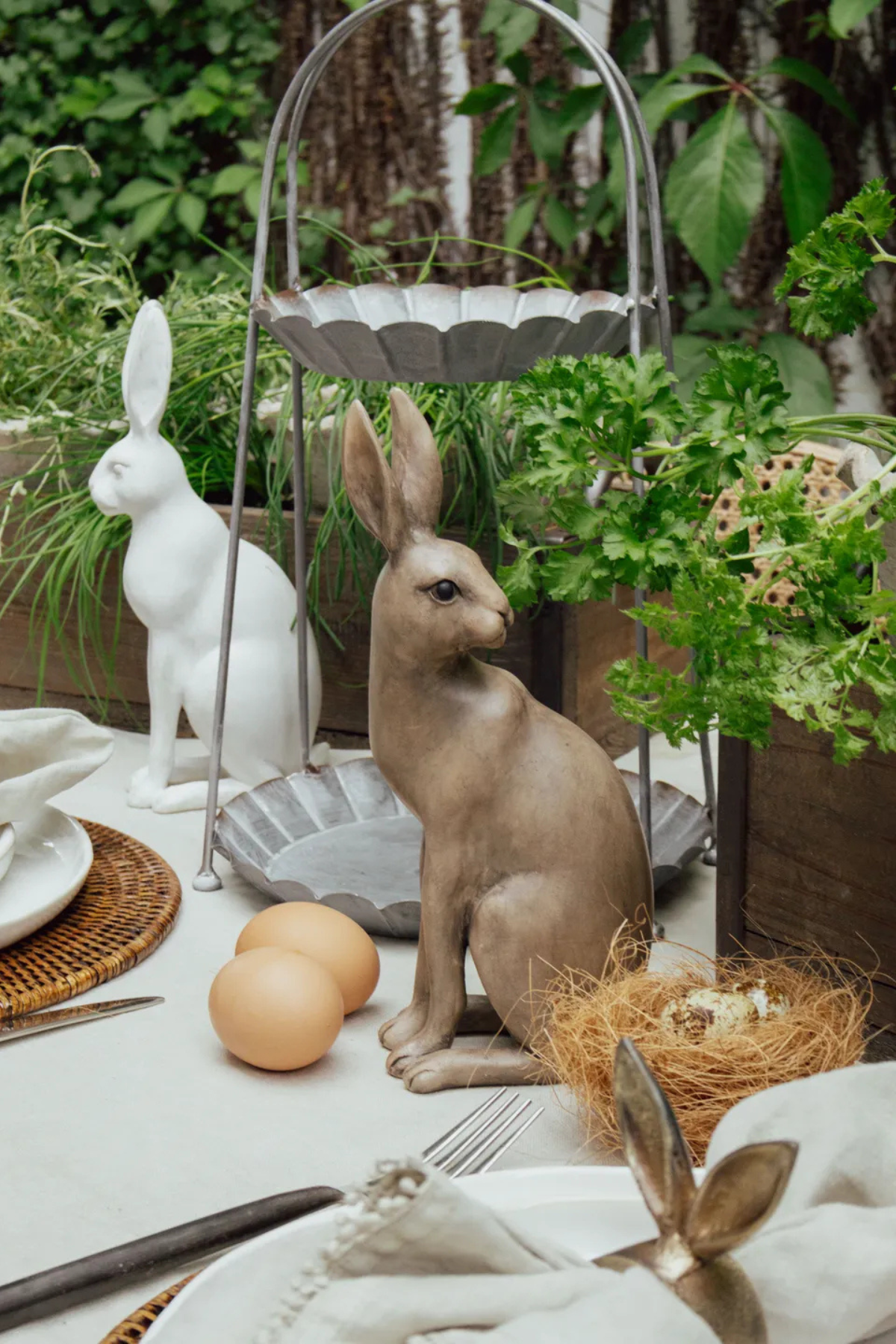 Harold the Hare Turning Small Brown