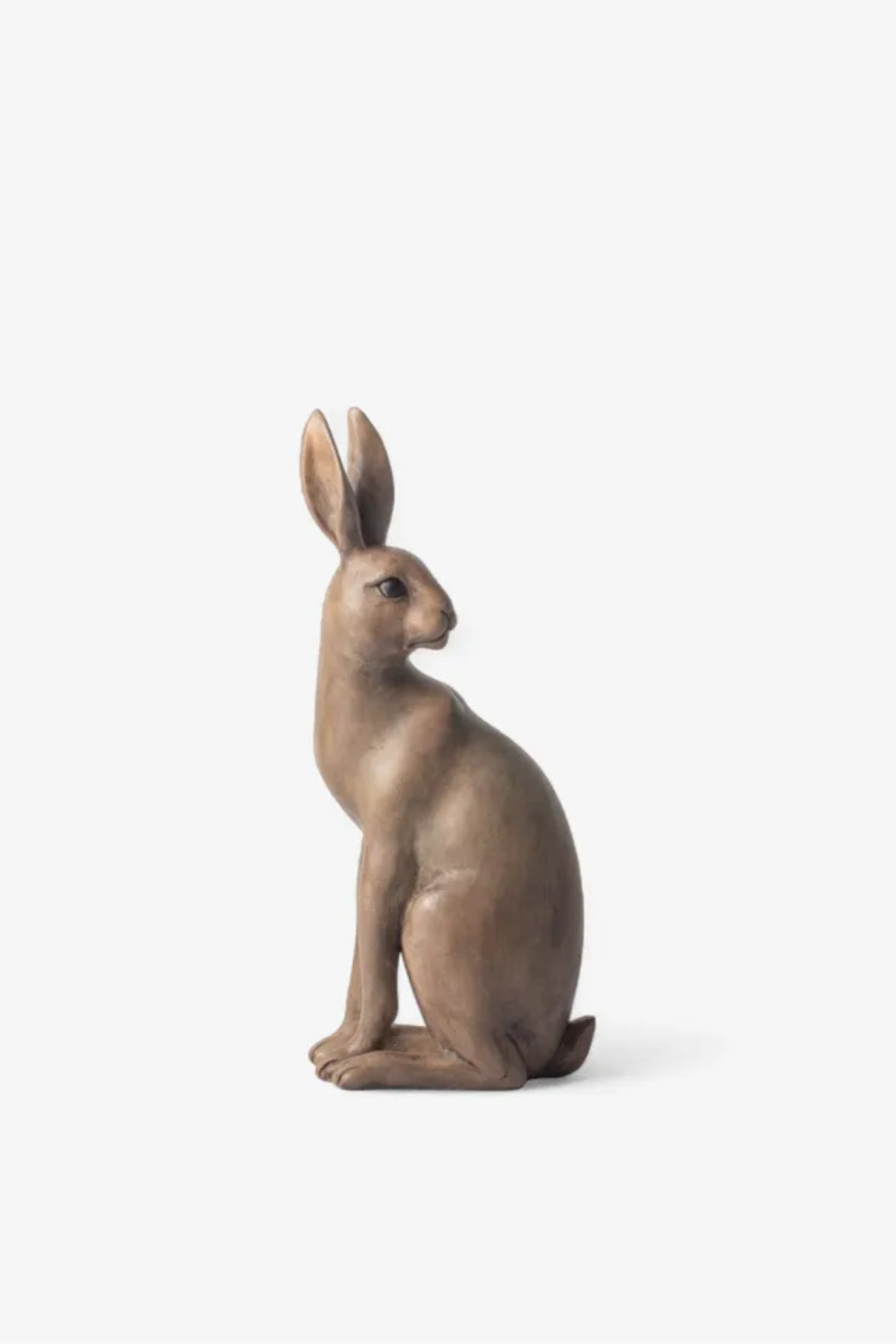 Harold the Hare Turning Small Brown