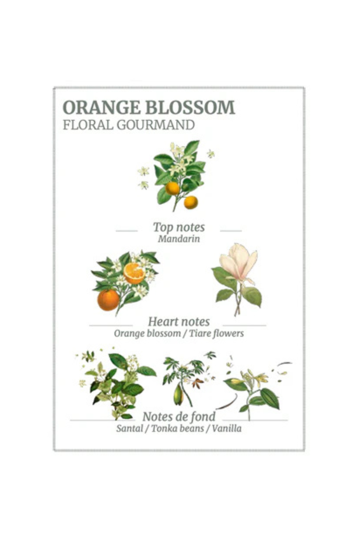 Orange Blossom Marseille Liquid Soap Refill