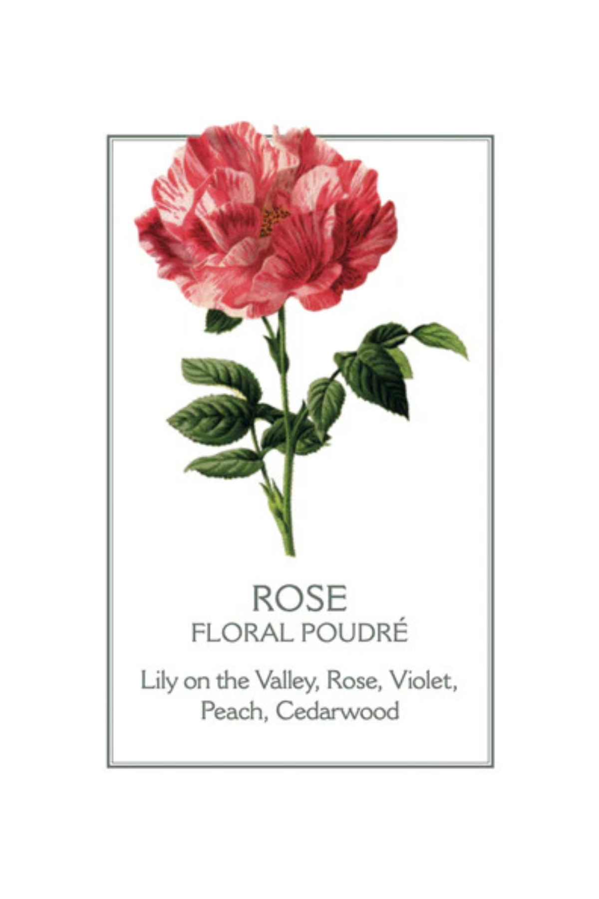 Rose Marseille Liquid Soap Refill