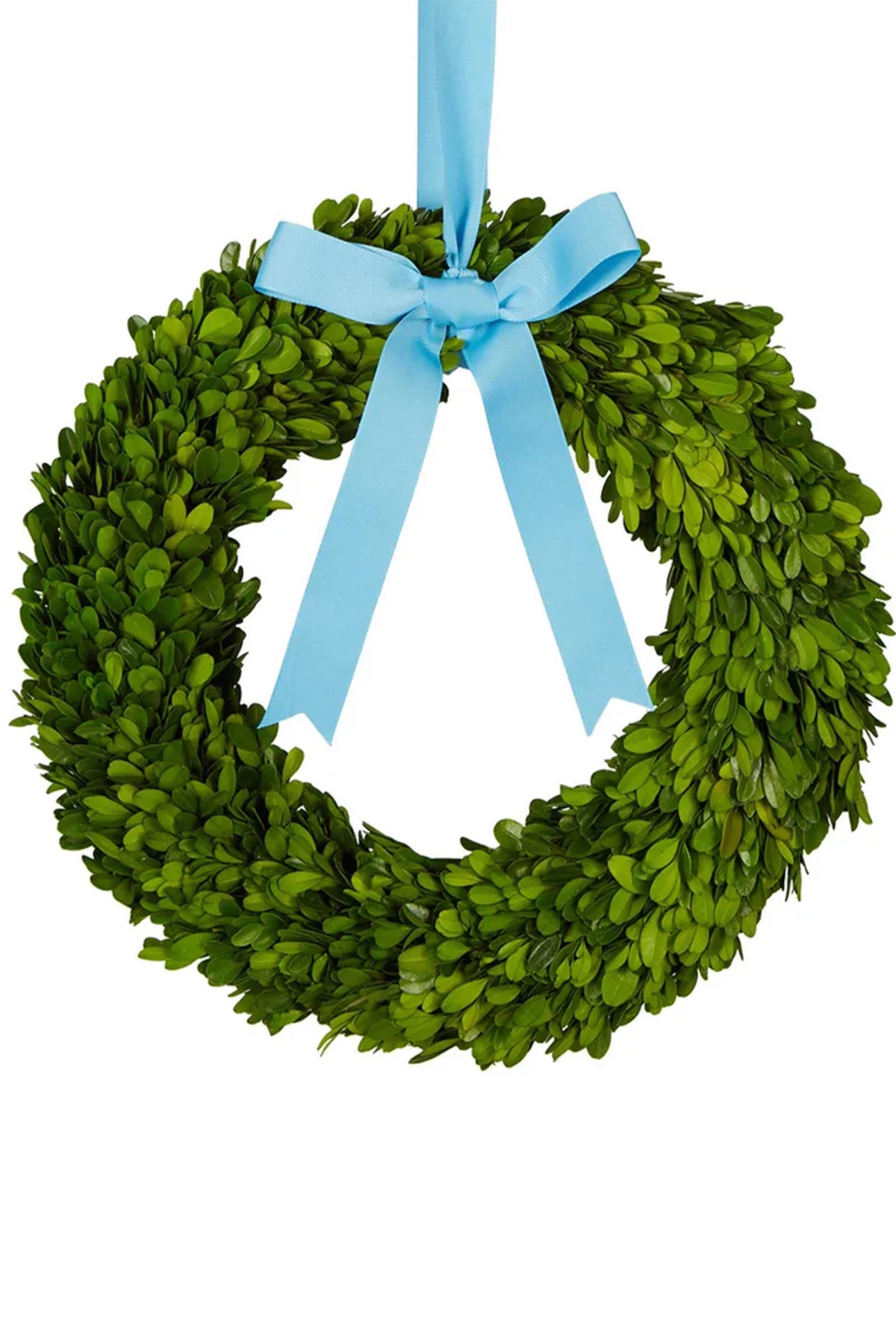 Preserved Boxwood Wreath with Bow