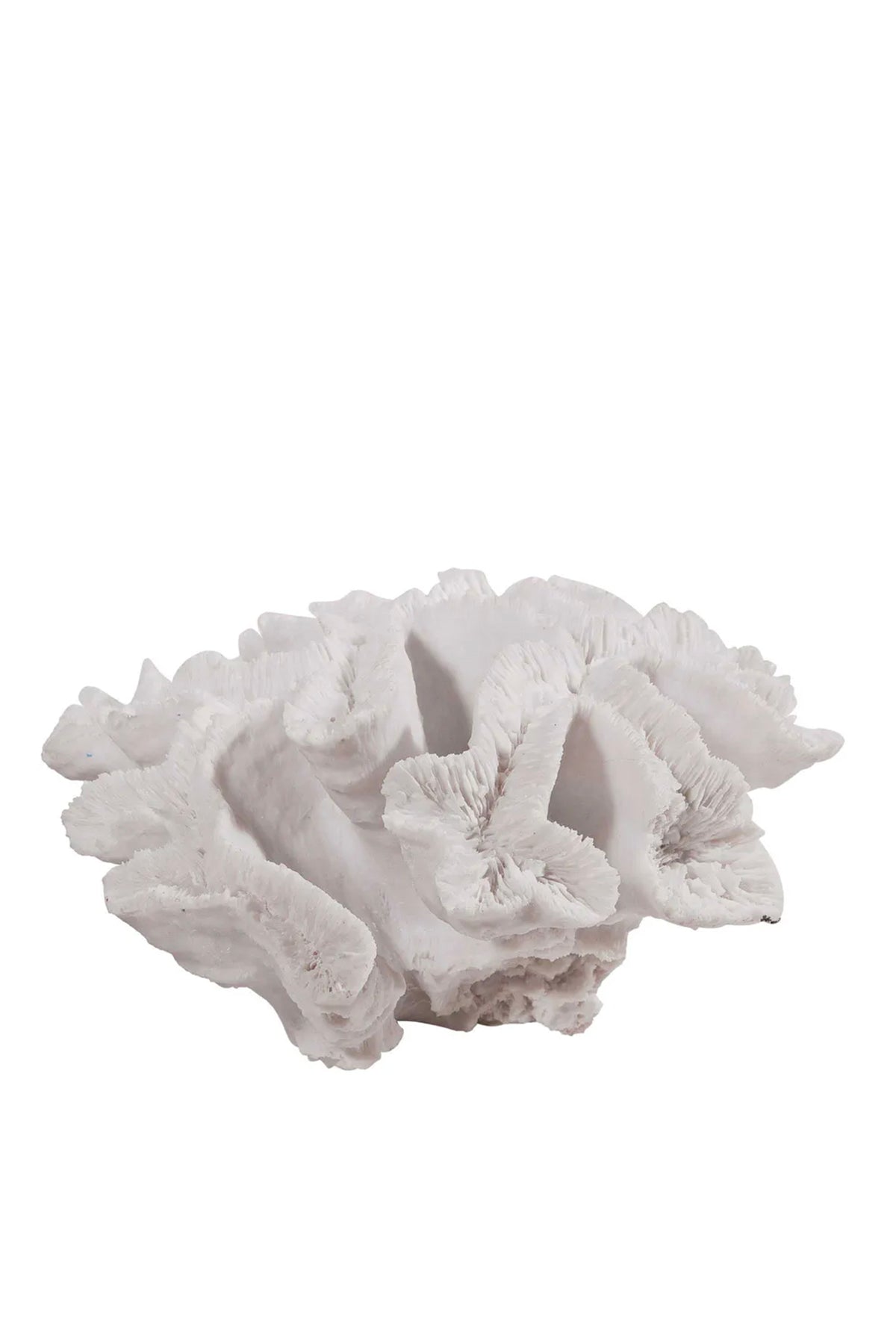 Waiheke Coral Sculpture White