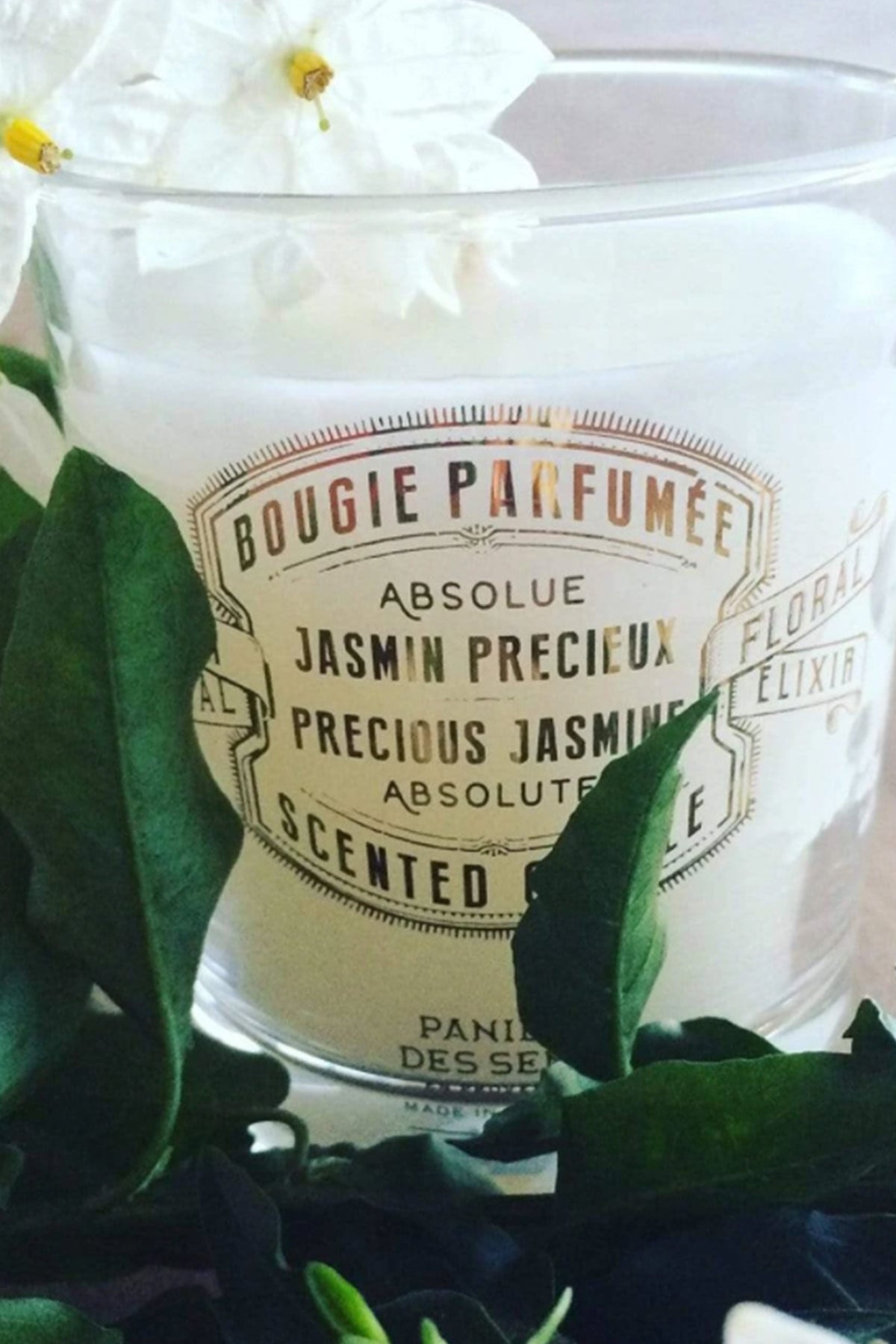 precious jasmine candle