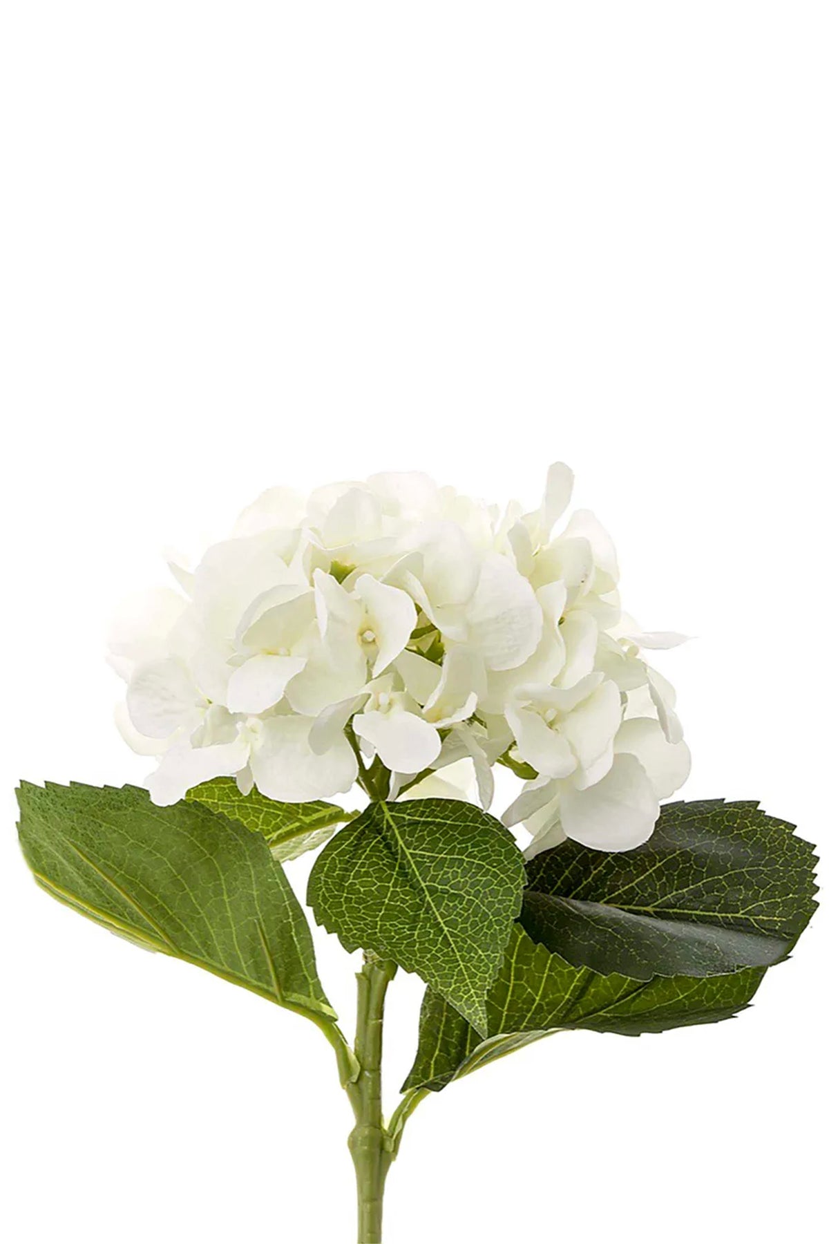 Hydrangea Stem White 49cm